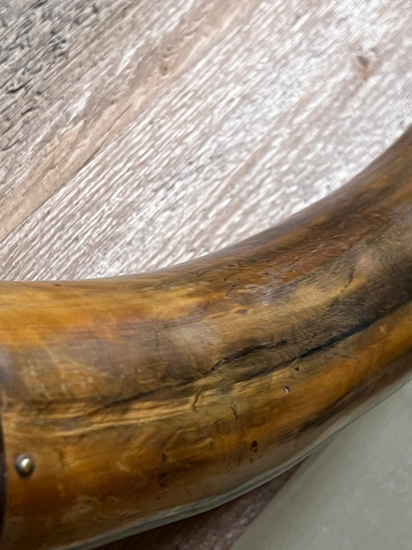 Powder Horn, 10”, BROWN, ASSORTED