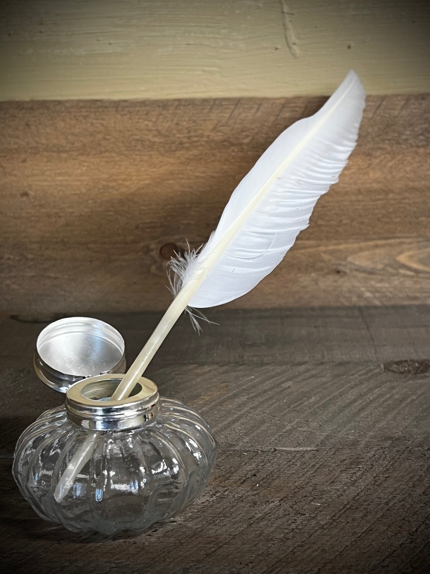 Goose Quill Feather, 12", WHITE