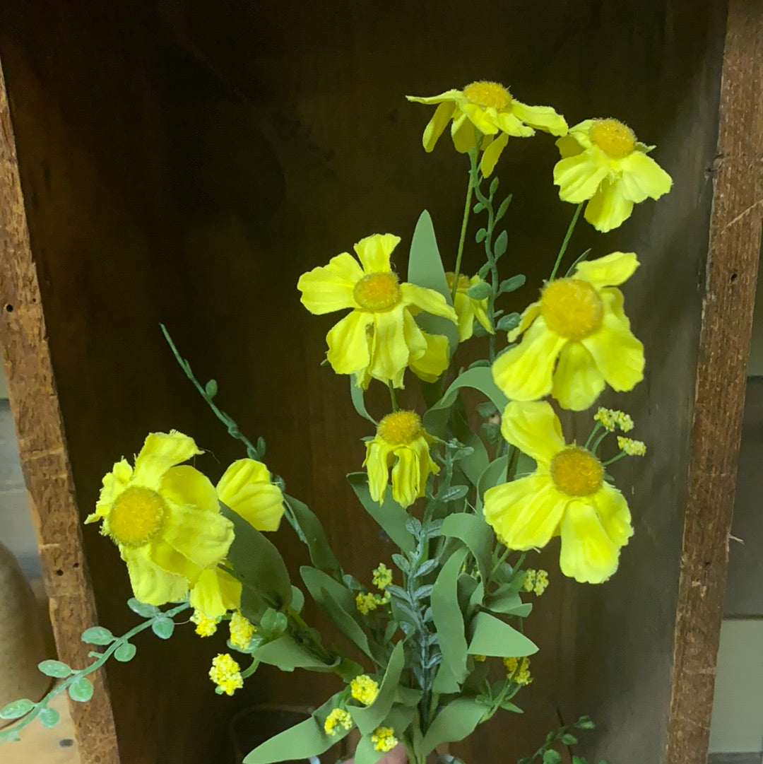 Bush, 20", YELLOW DAISY