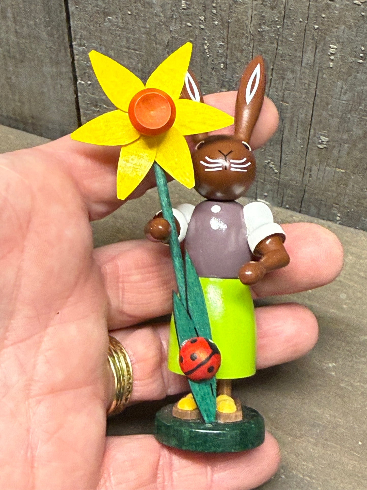 RABBIT W/NARCISSUS
