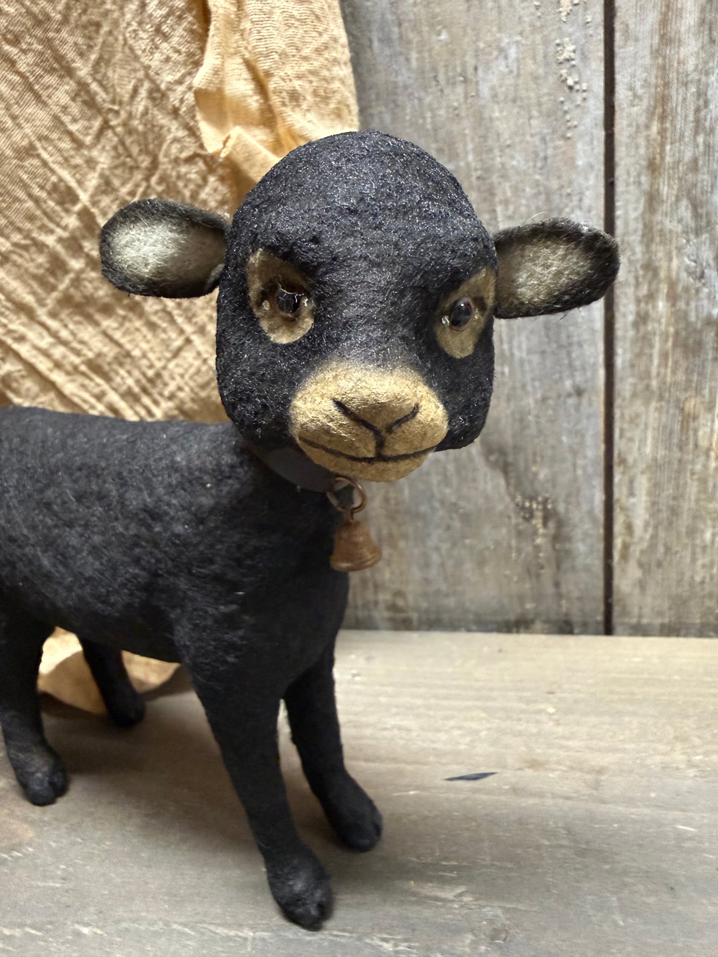 BLACK SHEEP