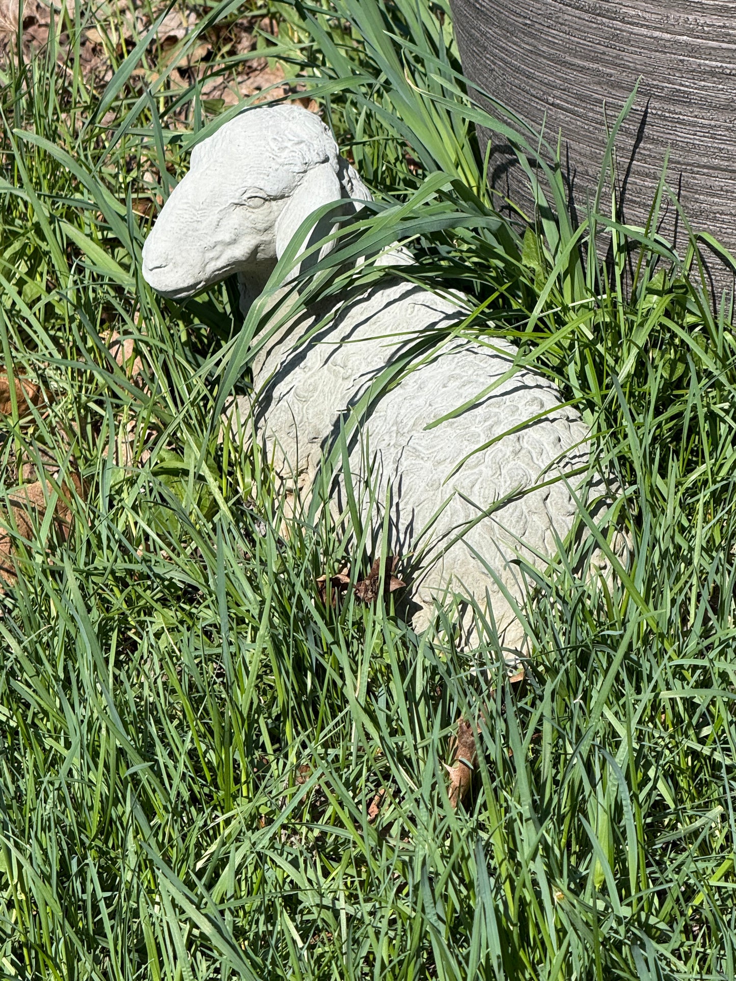 LAMB, Concrete….NO SHIPPING