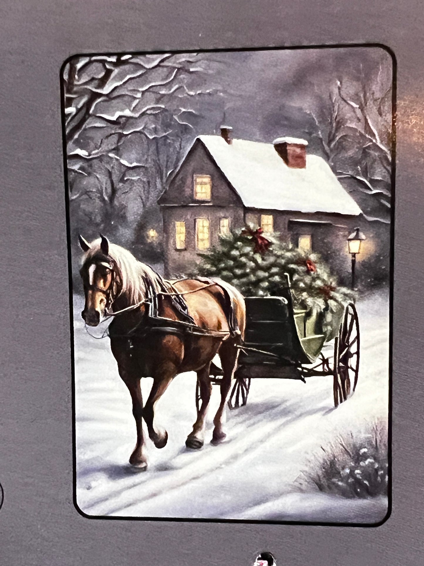 House Flag, 28x40, ASSORTED DESIGNS