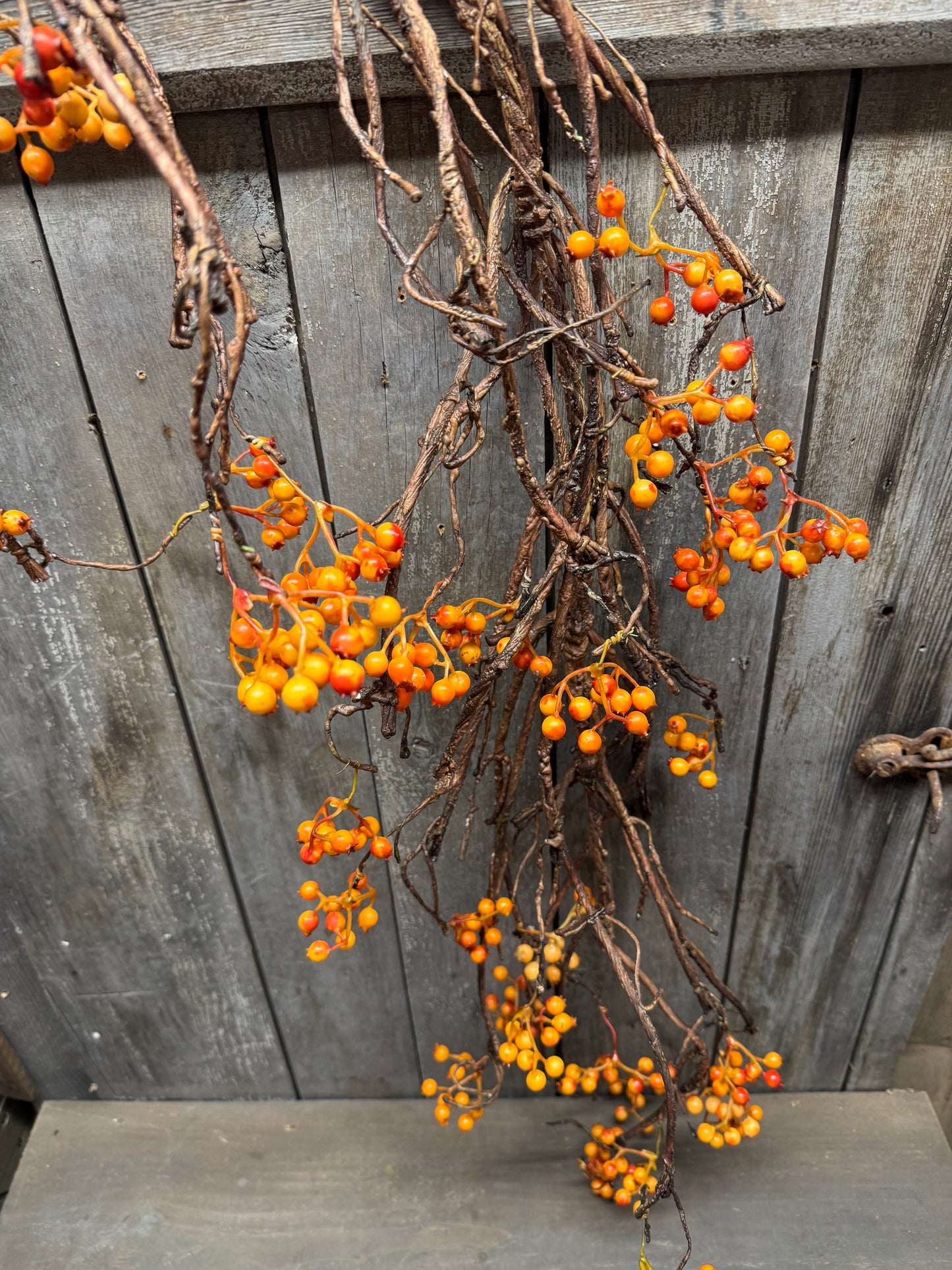 Vine, 54", BITTERSWEET
