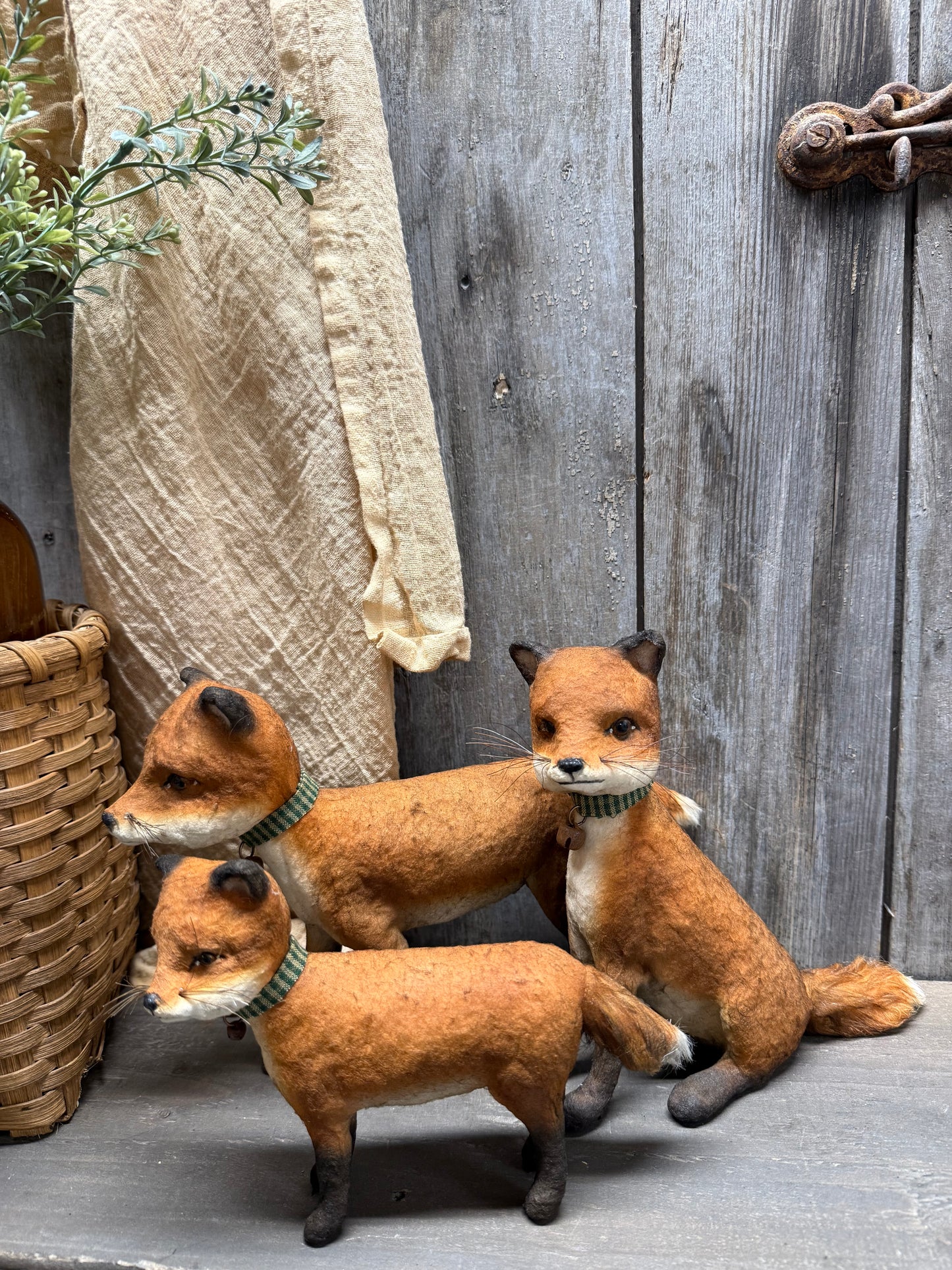 PIPPY FOX, Sitting