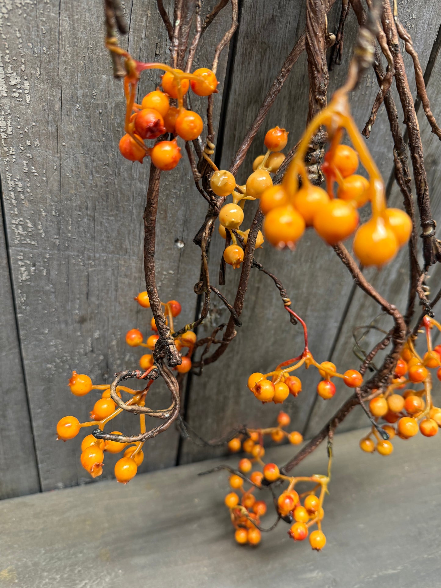 Vine, 54", BITTERSWEET