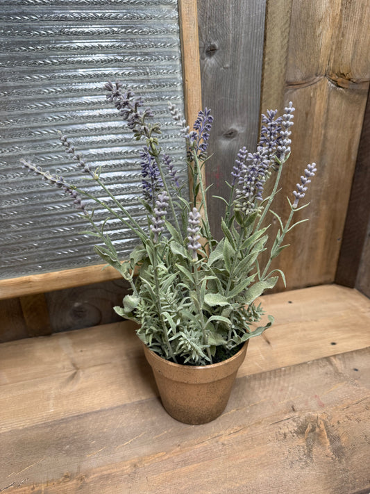 Potted Plant, 15.5", LAVENDER