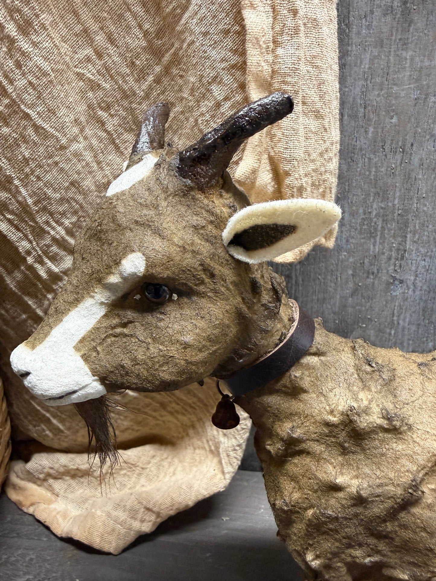BROWN GOAT, Large
