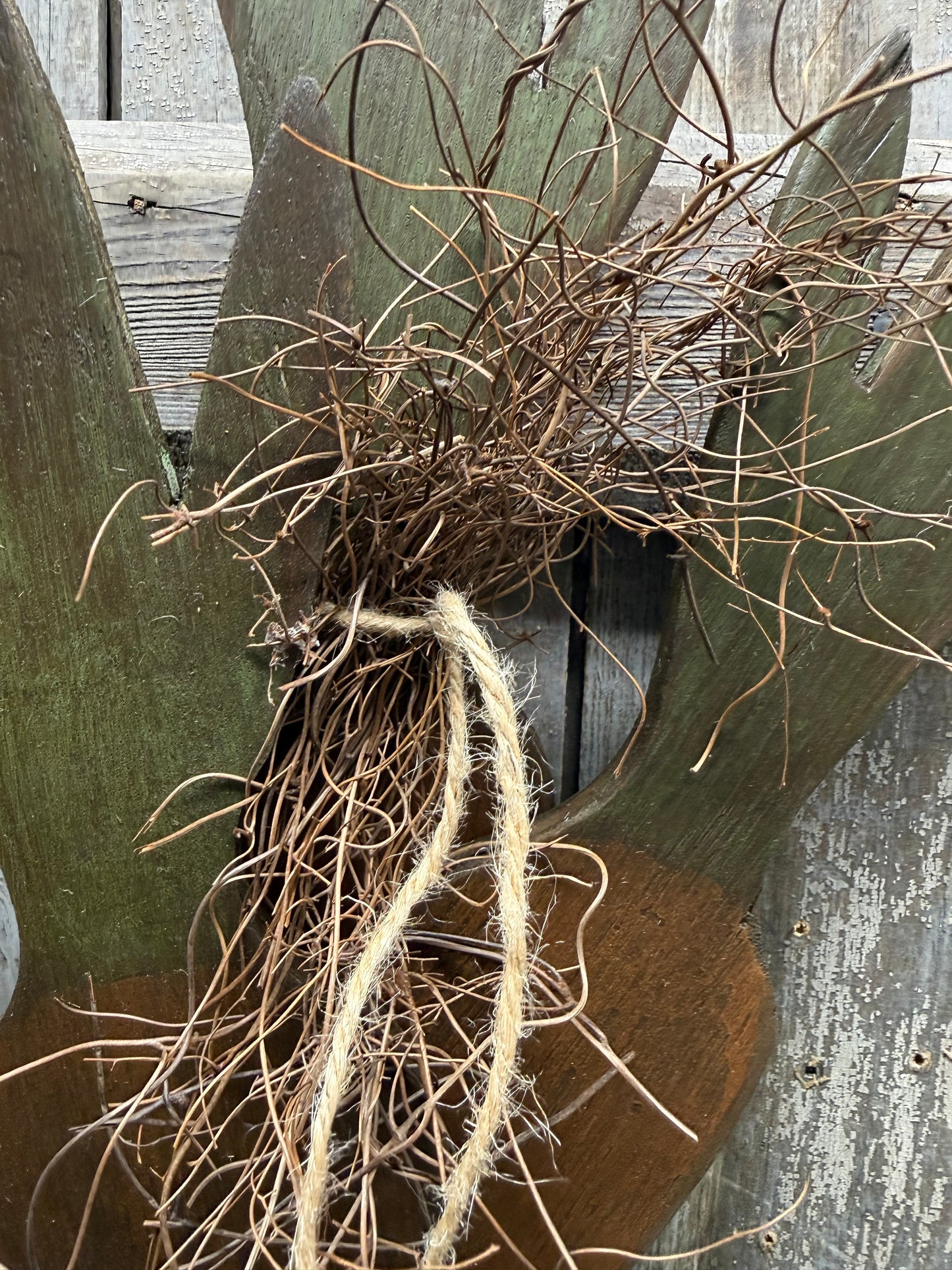 CARROTS, 26", Grungy