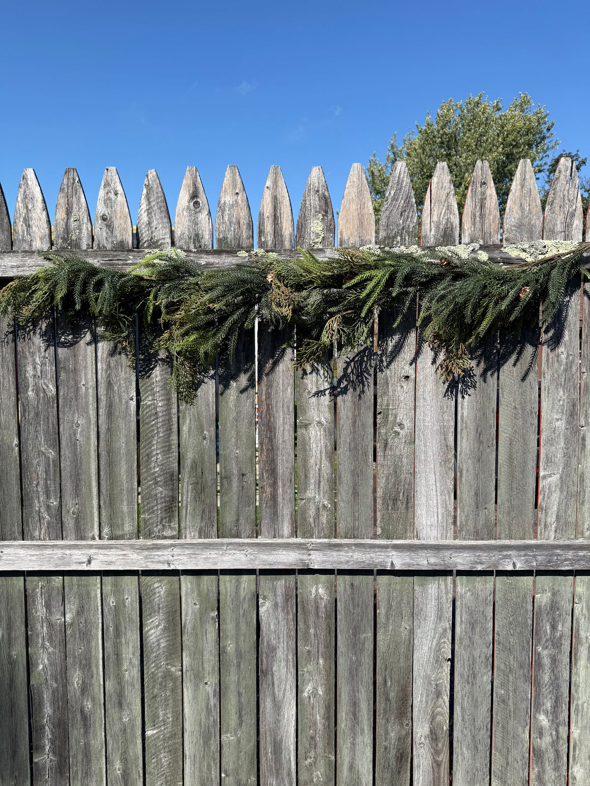 Garland, 5', MIXED PINE/PINECONE