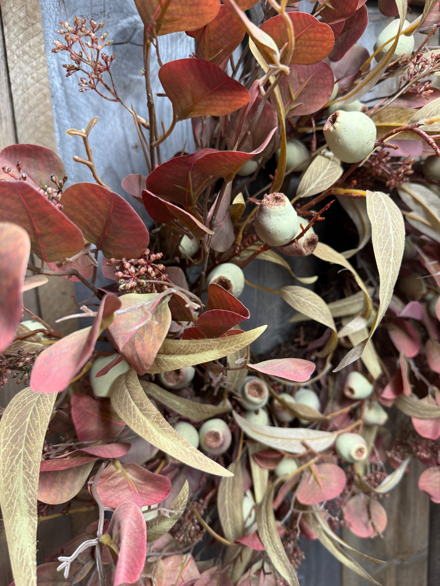 Wreath, 24", EUCALYPTUS & PODS
