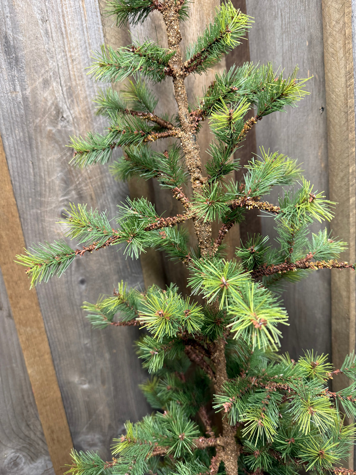 Tree, VERY SLIM TETON PINE