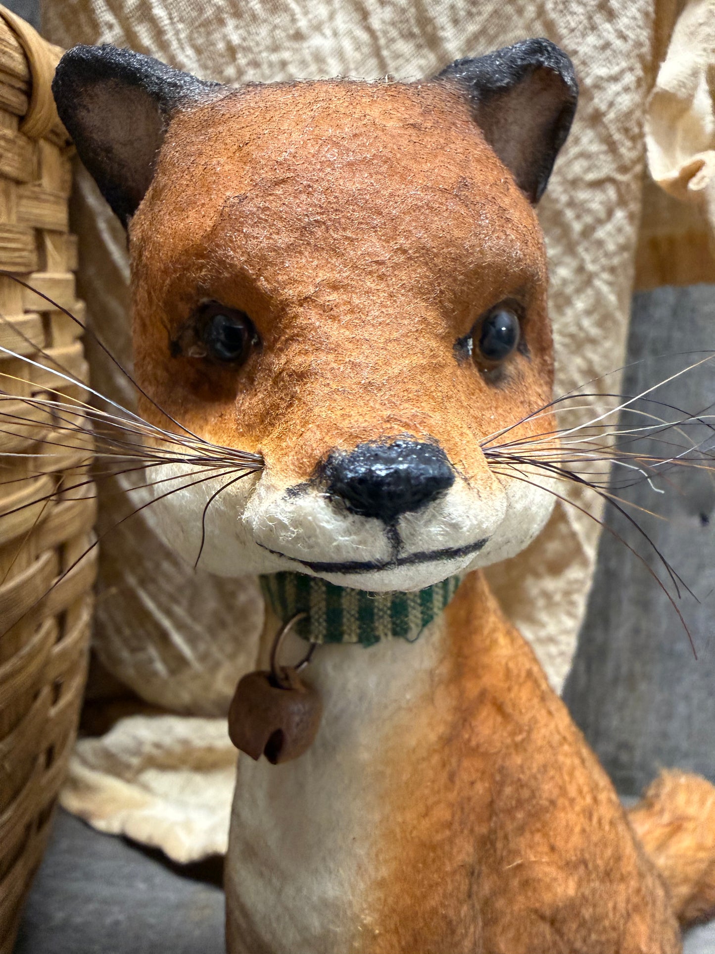 PIPPY FOX, Sitting