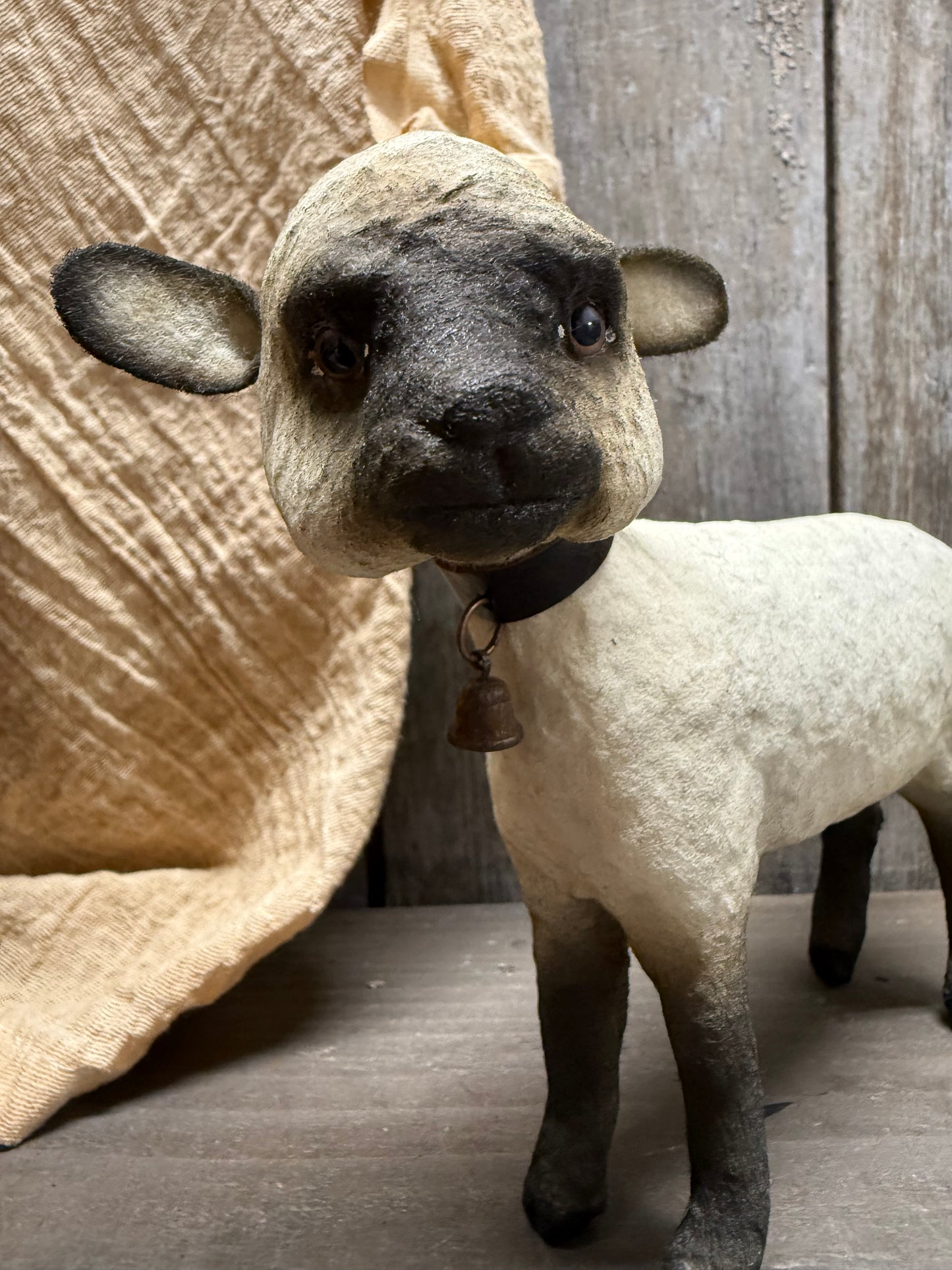 LAMB
