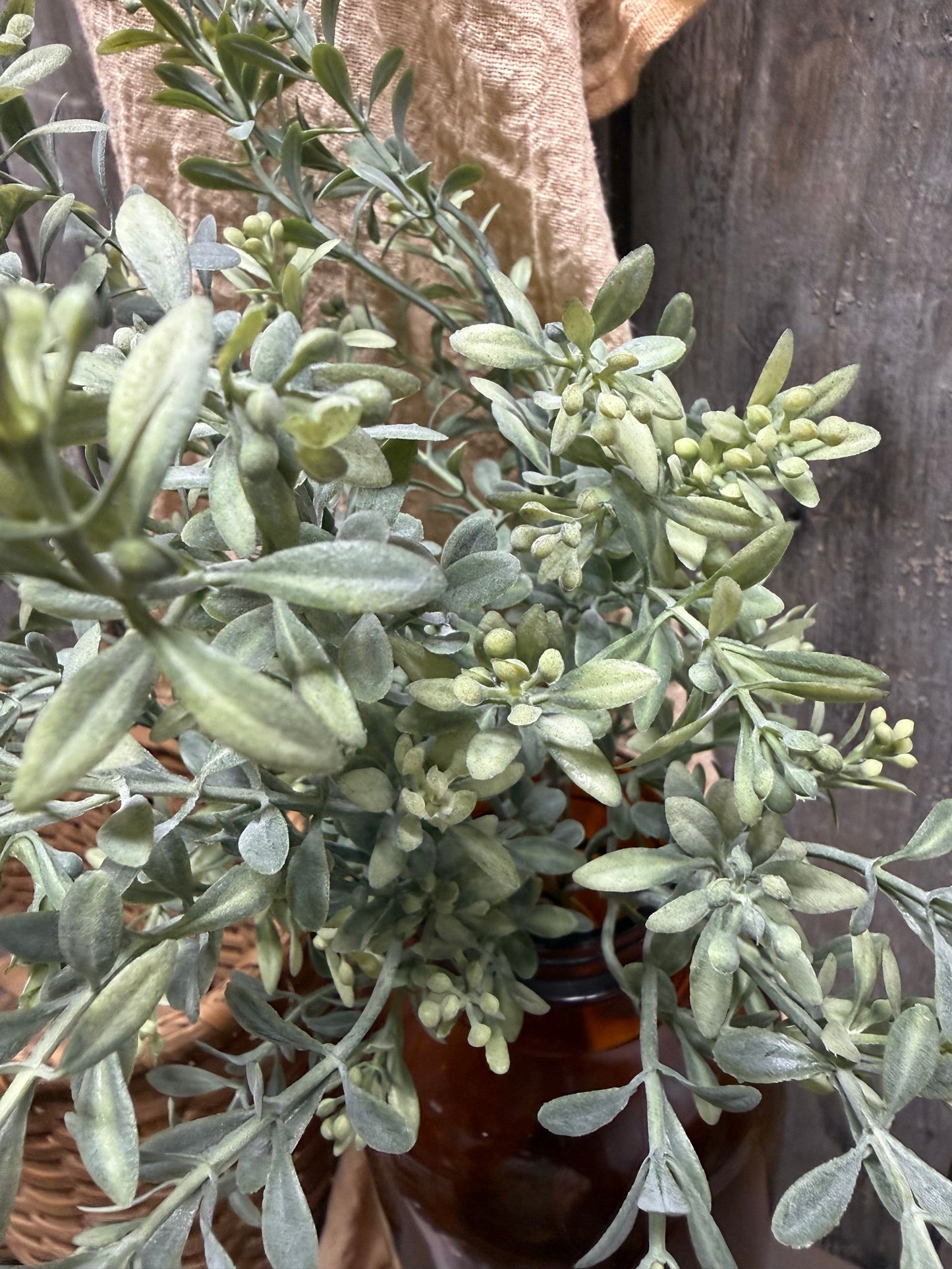 Bush, 13", GARDEN DELIGHT,Assorted