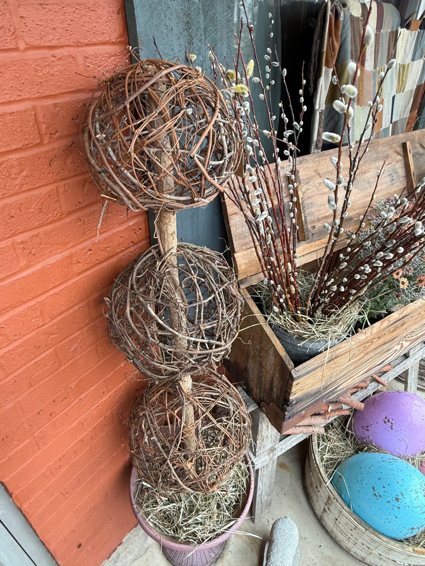 TOPIARY, Small Vine, LOCAL PICK UP ONLY