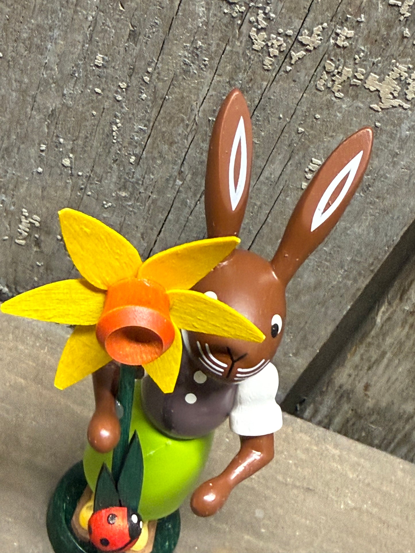RABBIT W/NARCISSUS