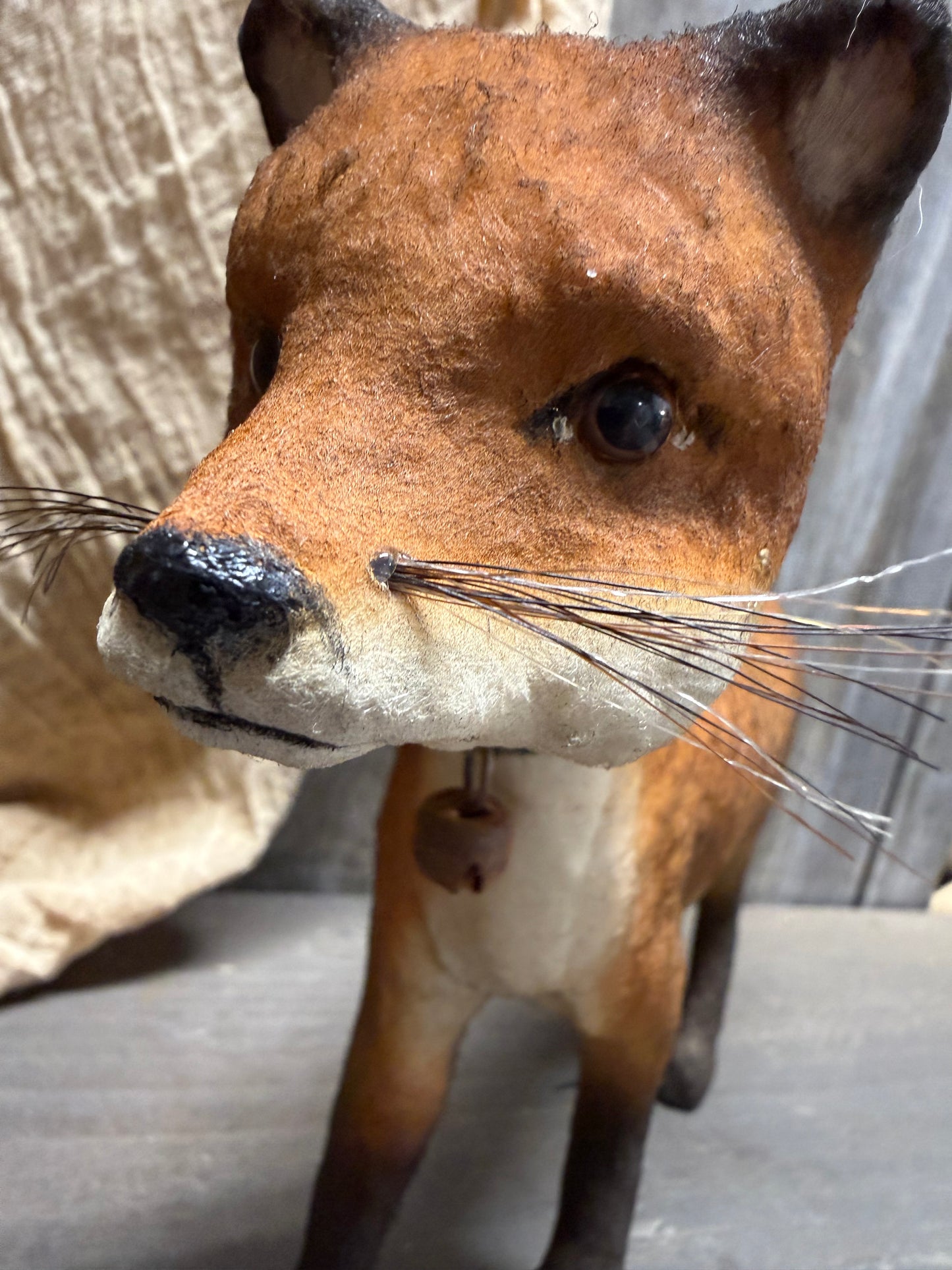 PIPPY FOX, Walking