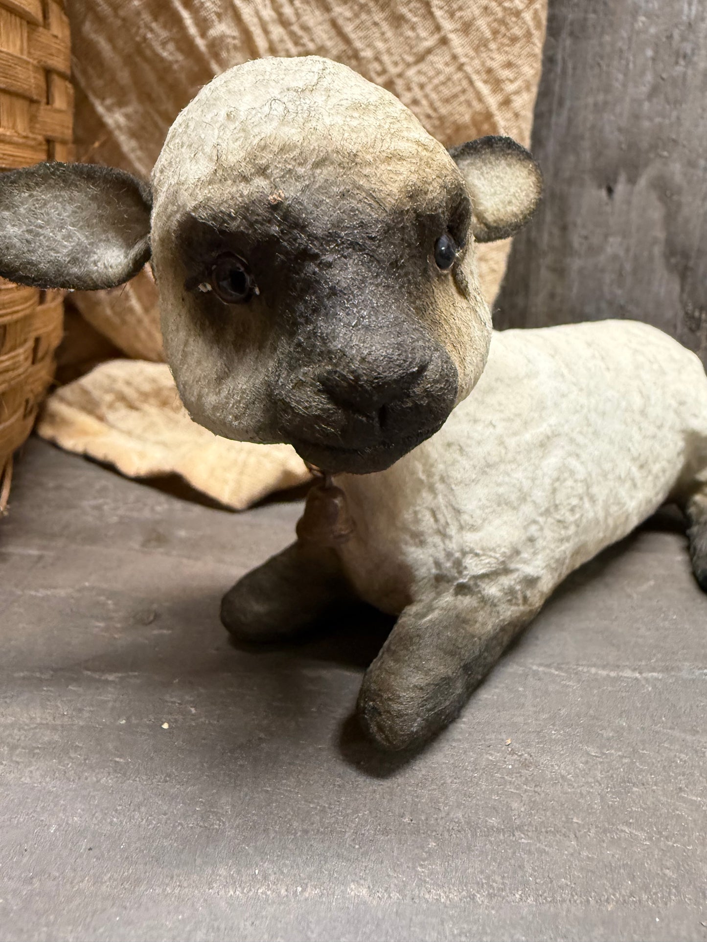 LAMB, Laying