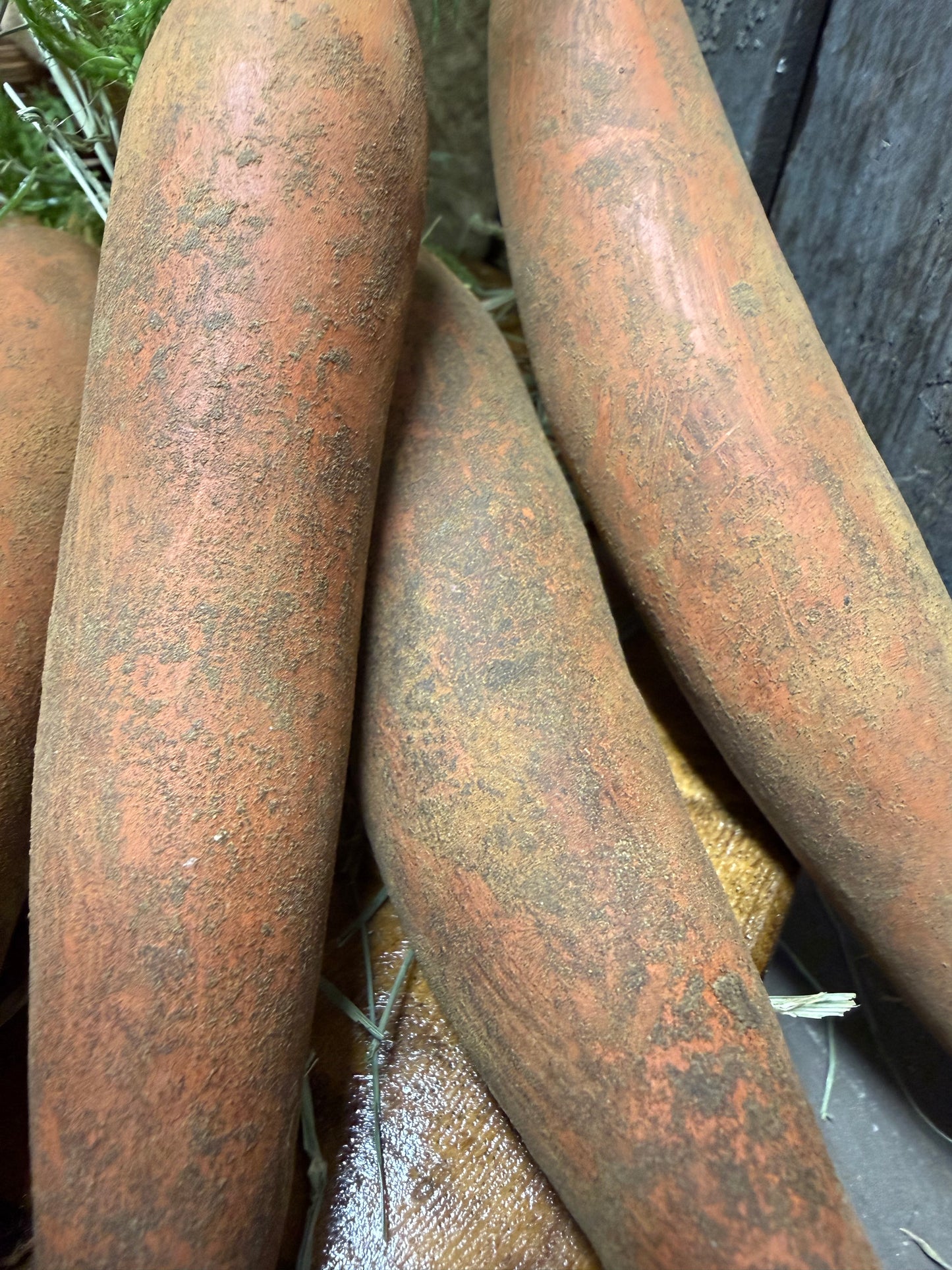 Carrot, Painted Gourd, FRESH DUG & DIRTY