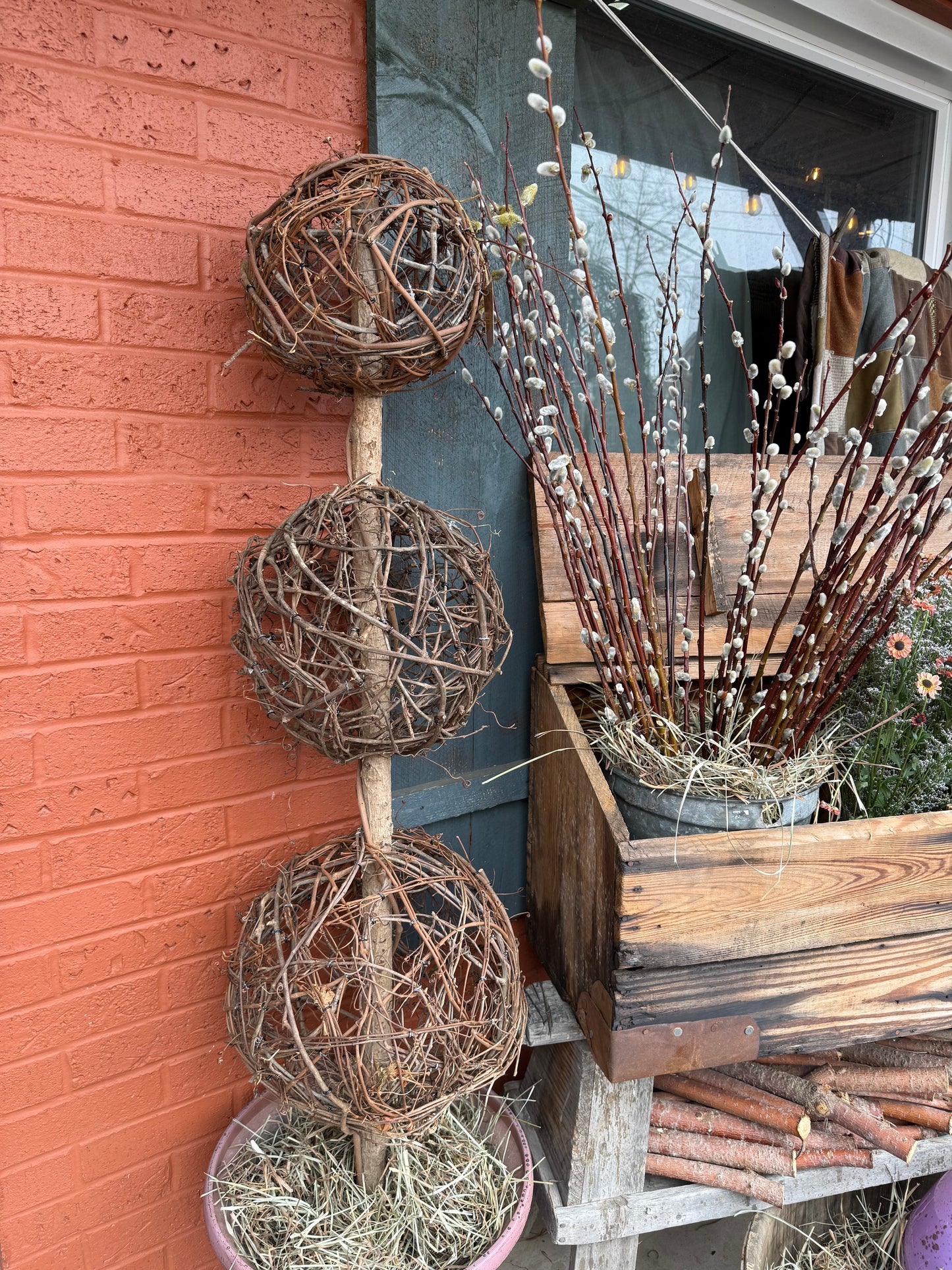 TOPIARY, Small Vine, LOCAL PICK UP ONLY