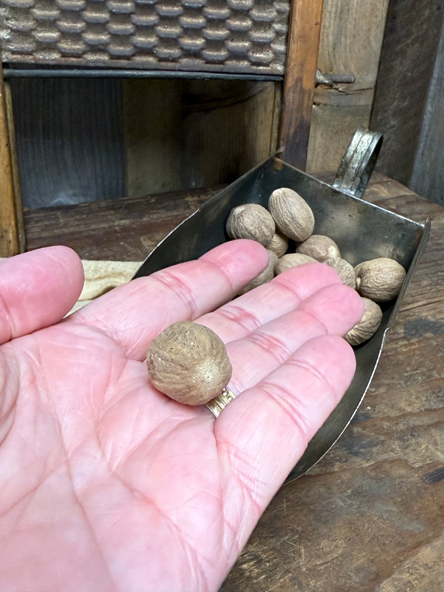 NUTMEG, Whole, 4 Ounce