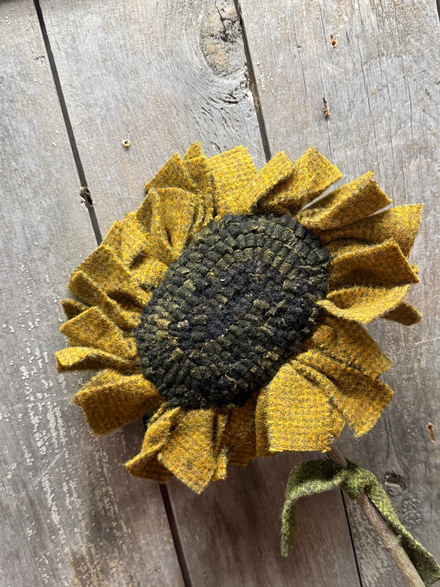 Hooked, SUNFLOWER/STEM