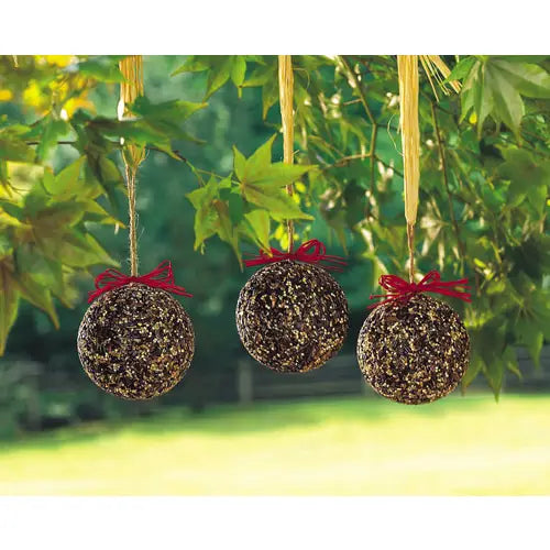 Ornament, SEED or NUT BALL