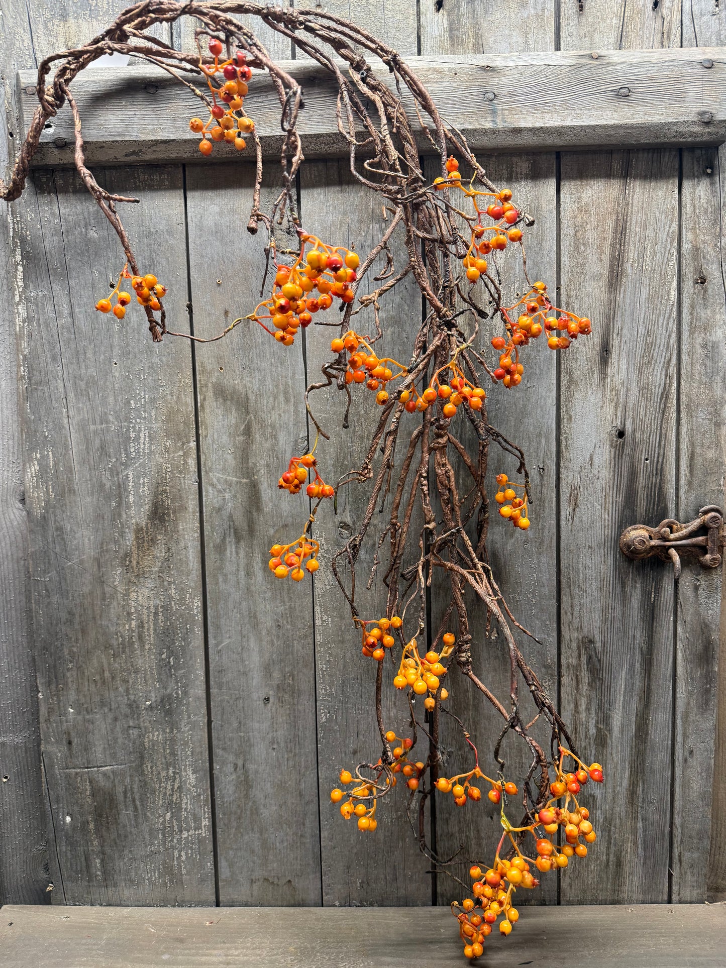 Vine, 54", BITTERSWEET