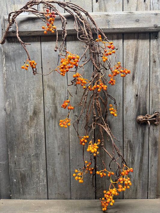 Vine, 54", BITTERSWEET
