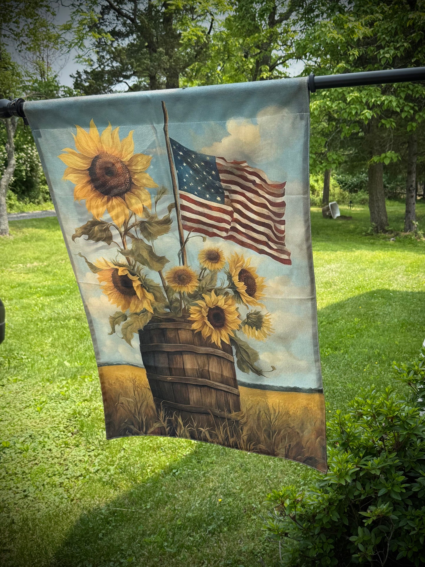 House Flag, 28x40, ASSORTED DESIGNS