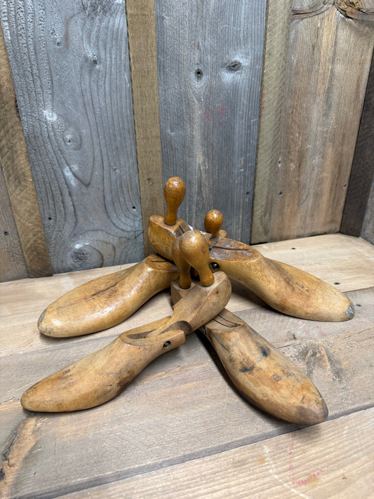 SHOE STRETCHERS, Set/4