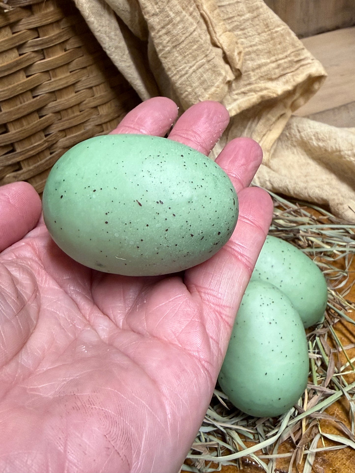 EGGS & GRASS, 2.5", Set/6