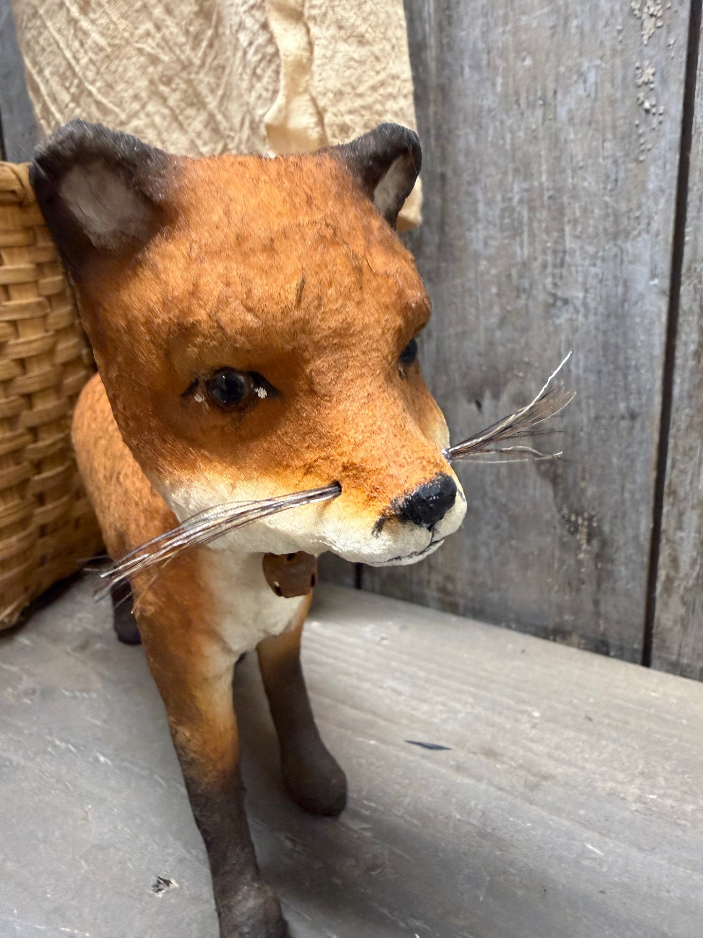 PIPPY FOX, Walking