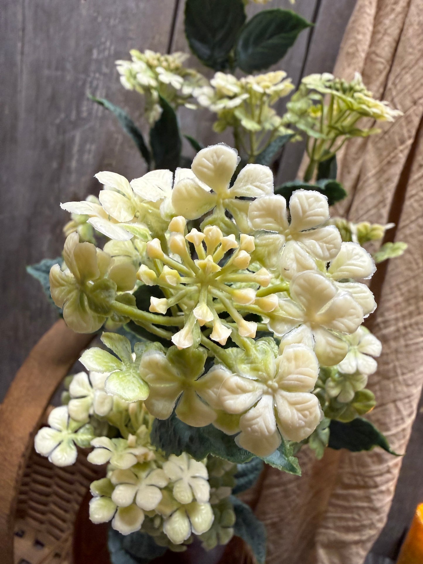 Bush, 21", FLOWER FIELDS