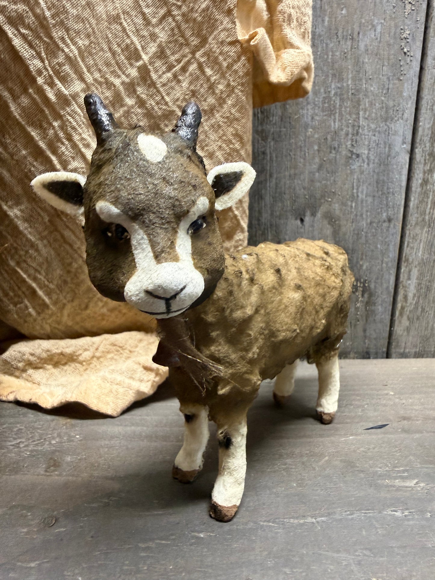BROWN GOAT, Small