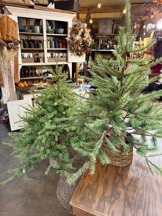 Tree, NORTH STAR FAT FIR