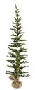 Tree, VERY SLIM TETON PINE