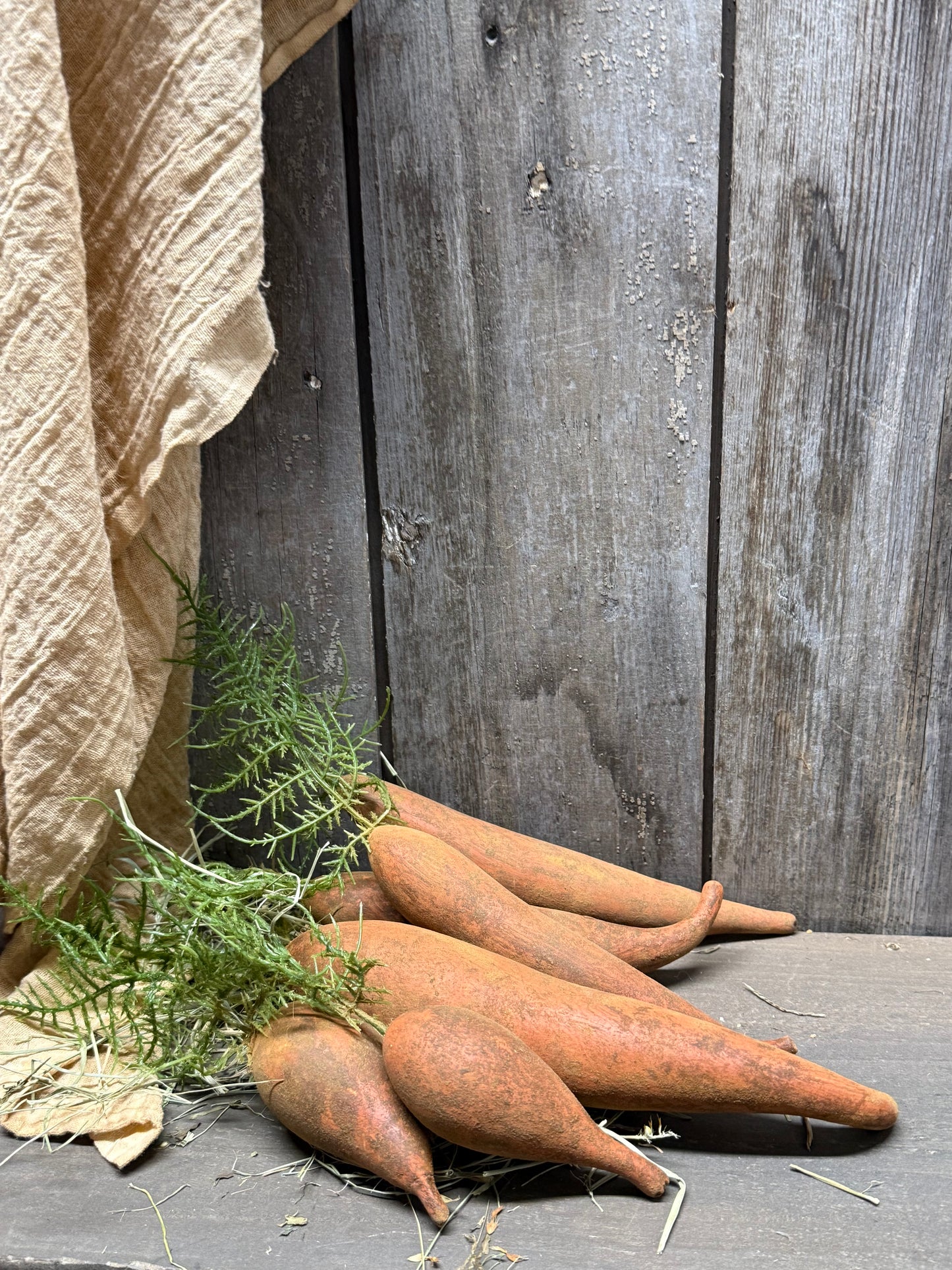 Carrot, Painted Gourd, FRESH DUG & DIRTY