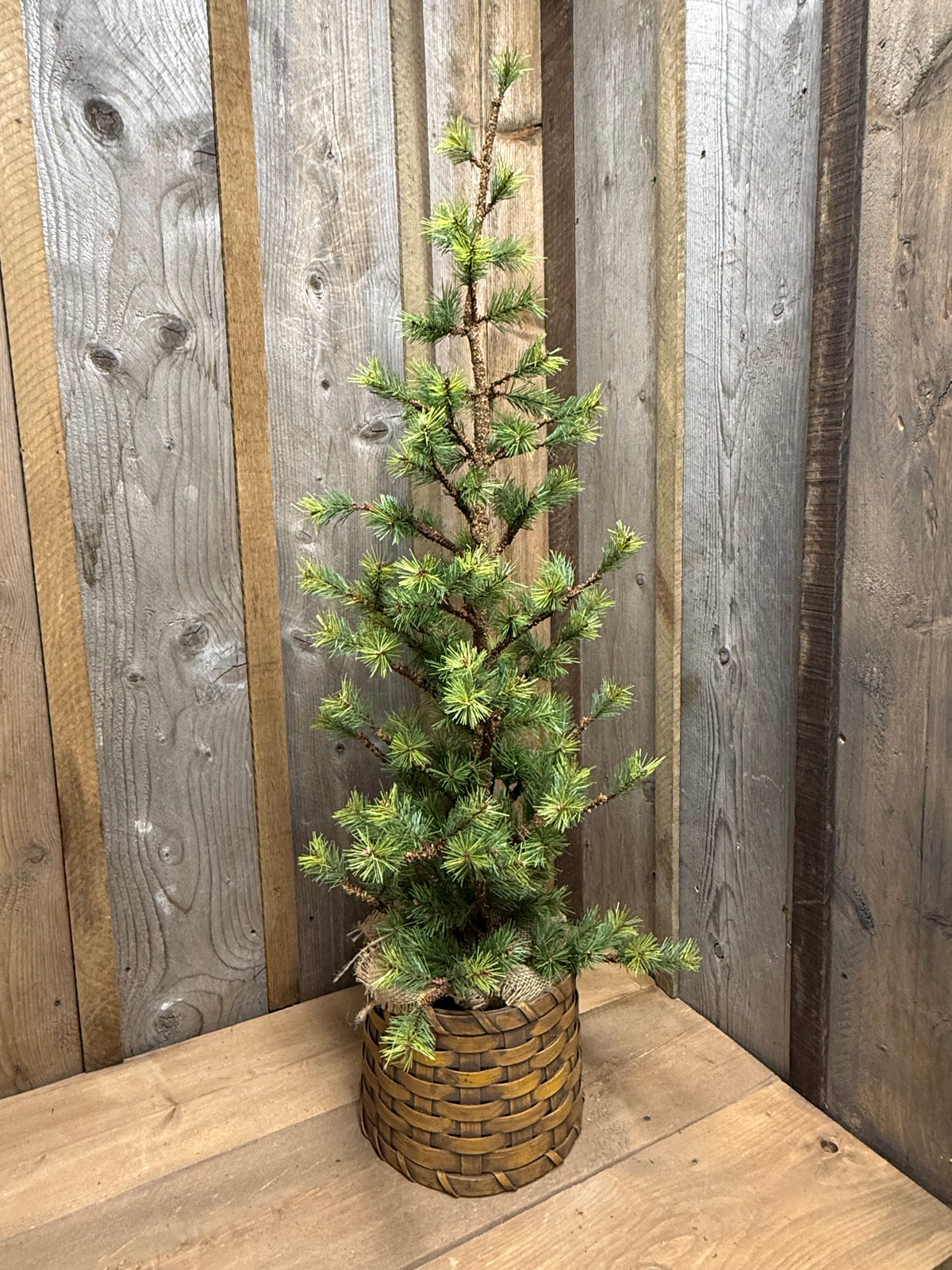 Tree, VERY SLIM TETON PINE