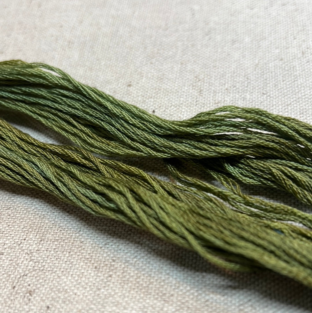 DRIED THYME, 0110, Sampler Threads