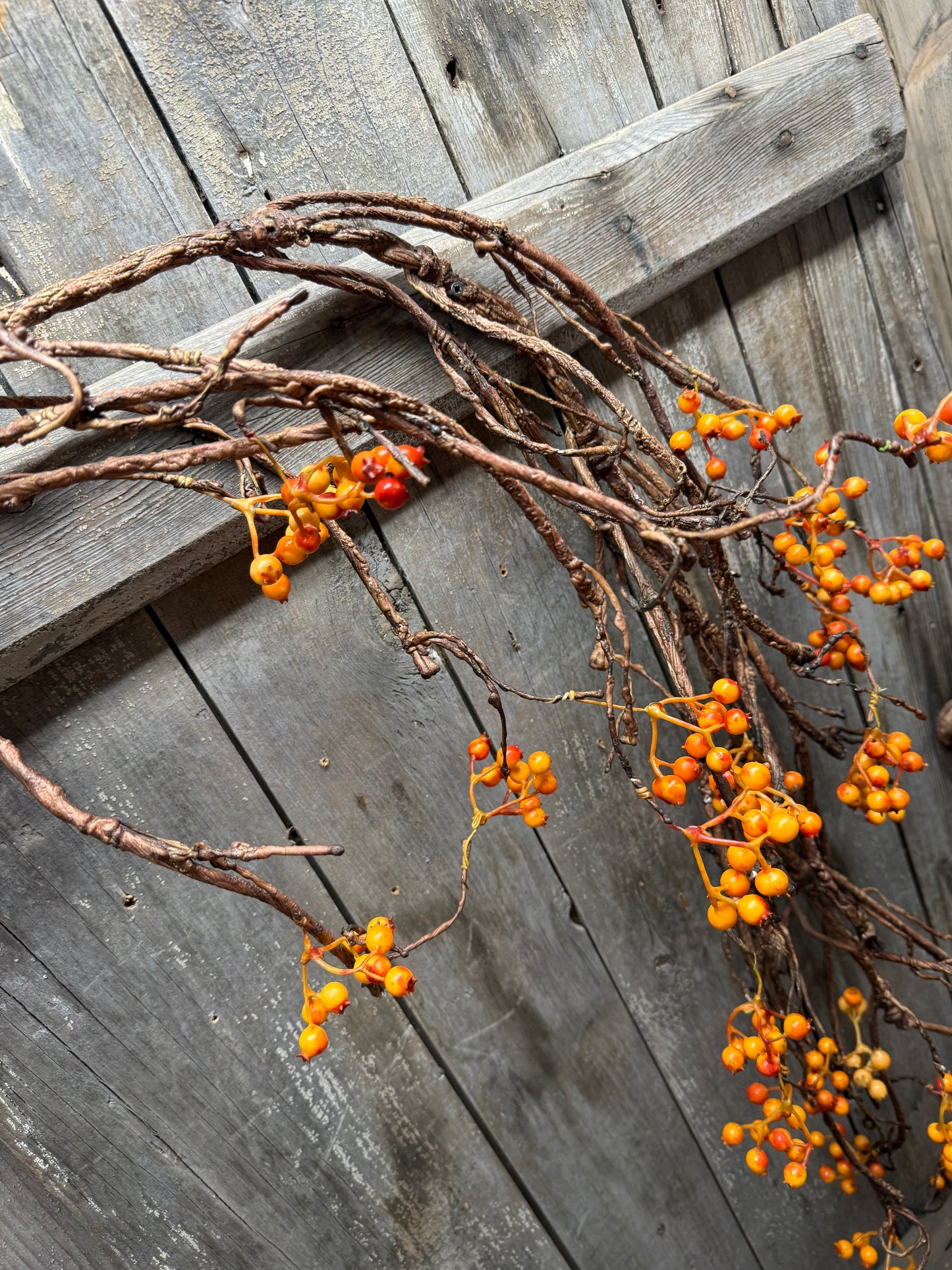 Vine, 54", BITTERSWEET