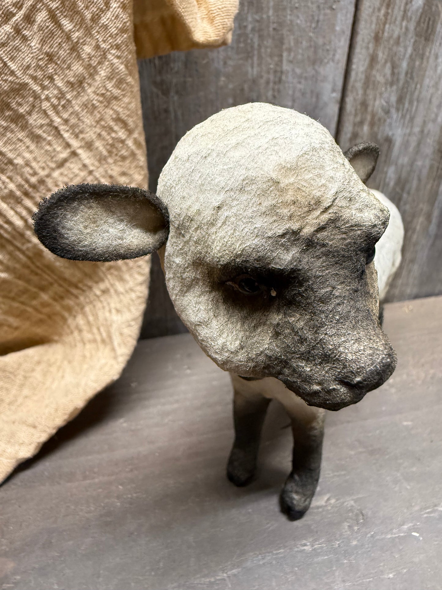LAMB