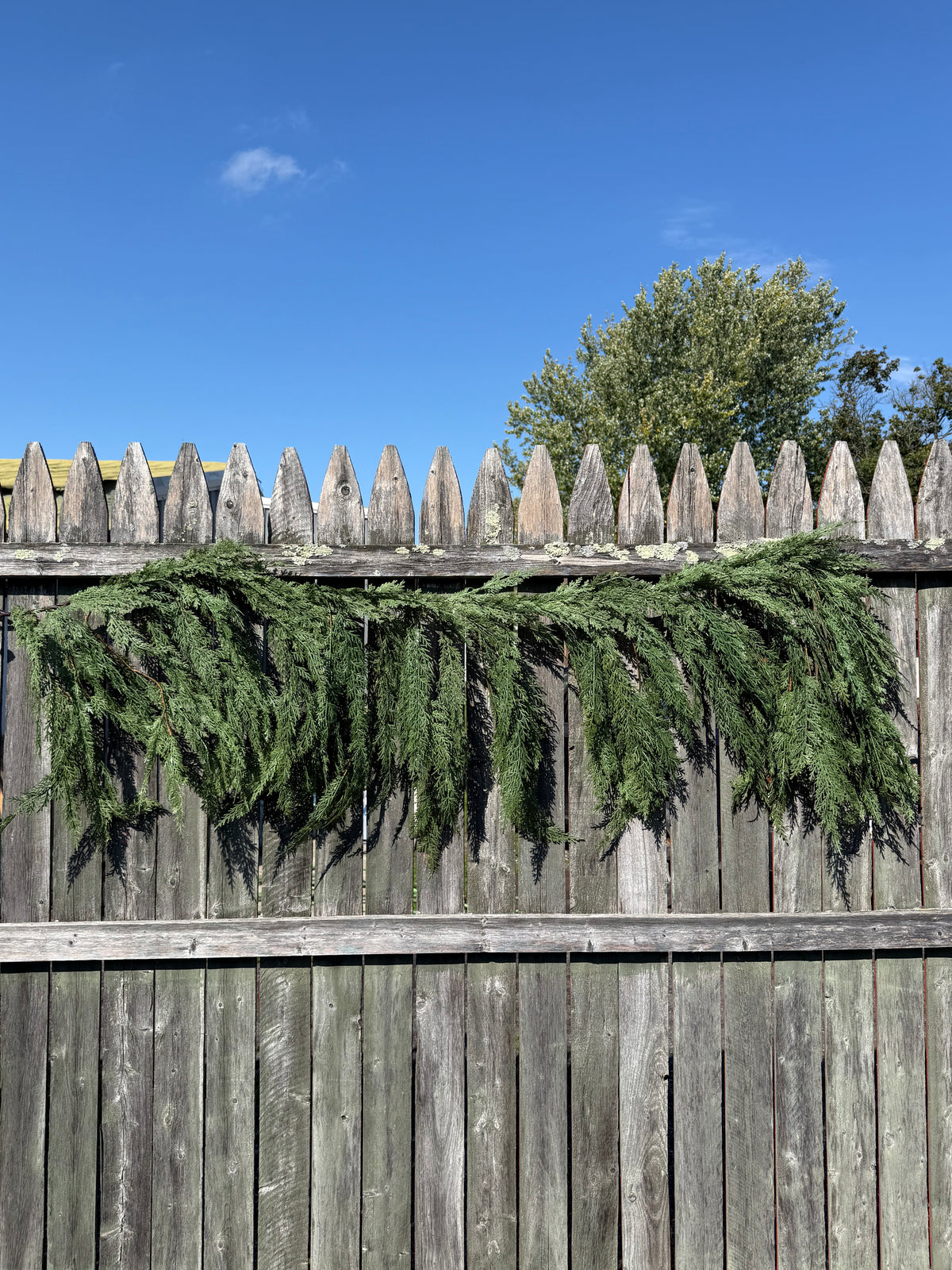 Mantel Garland, 6', CEDAR