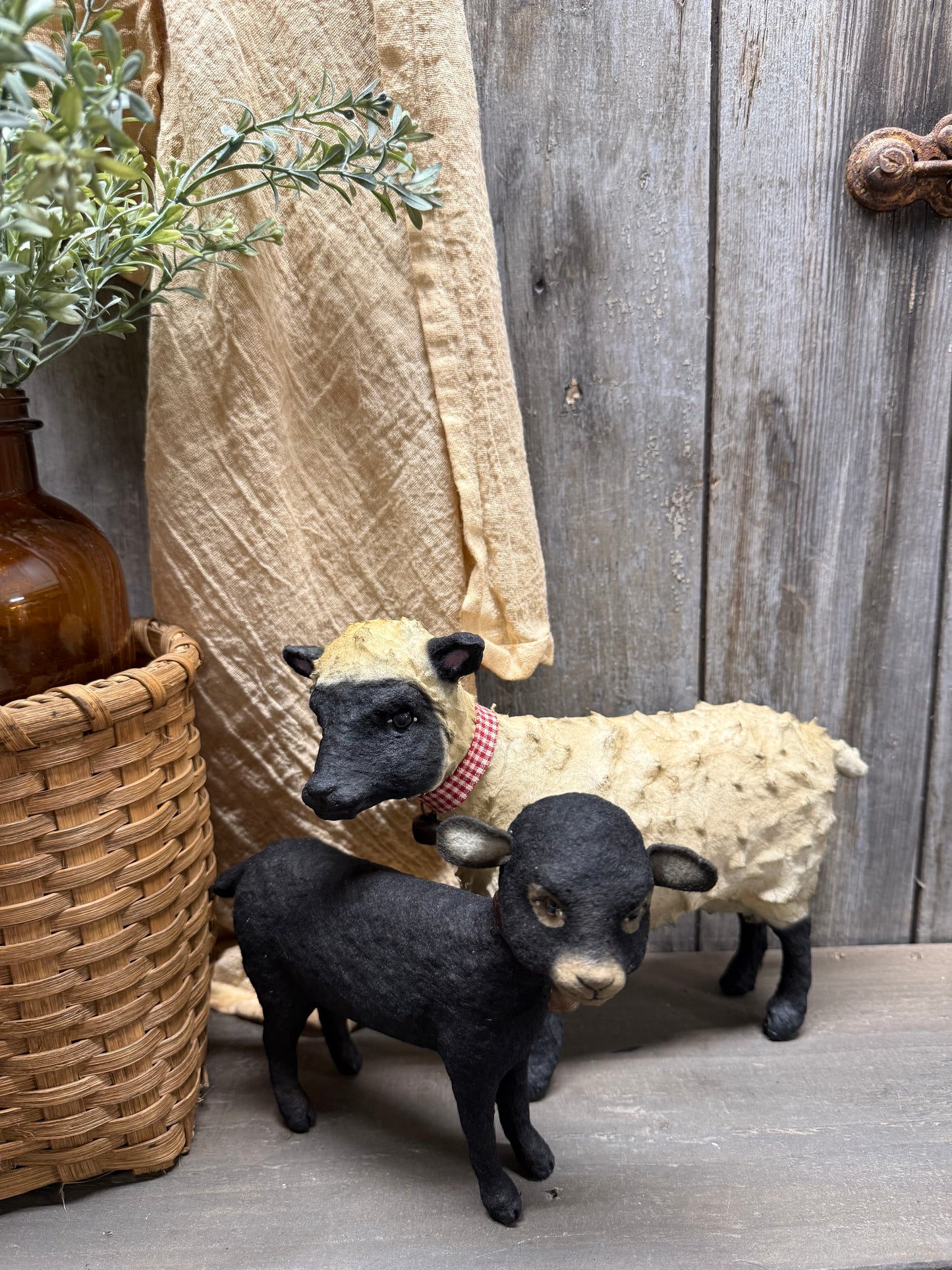 BLACK SHEEP
