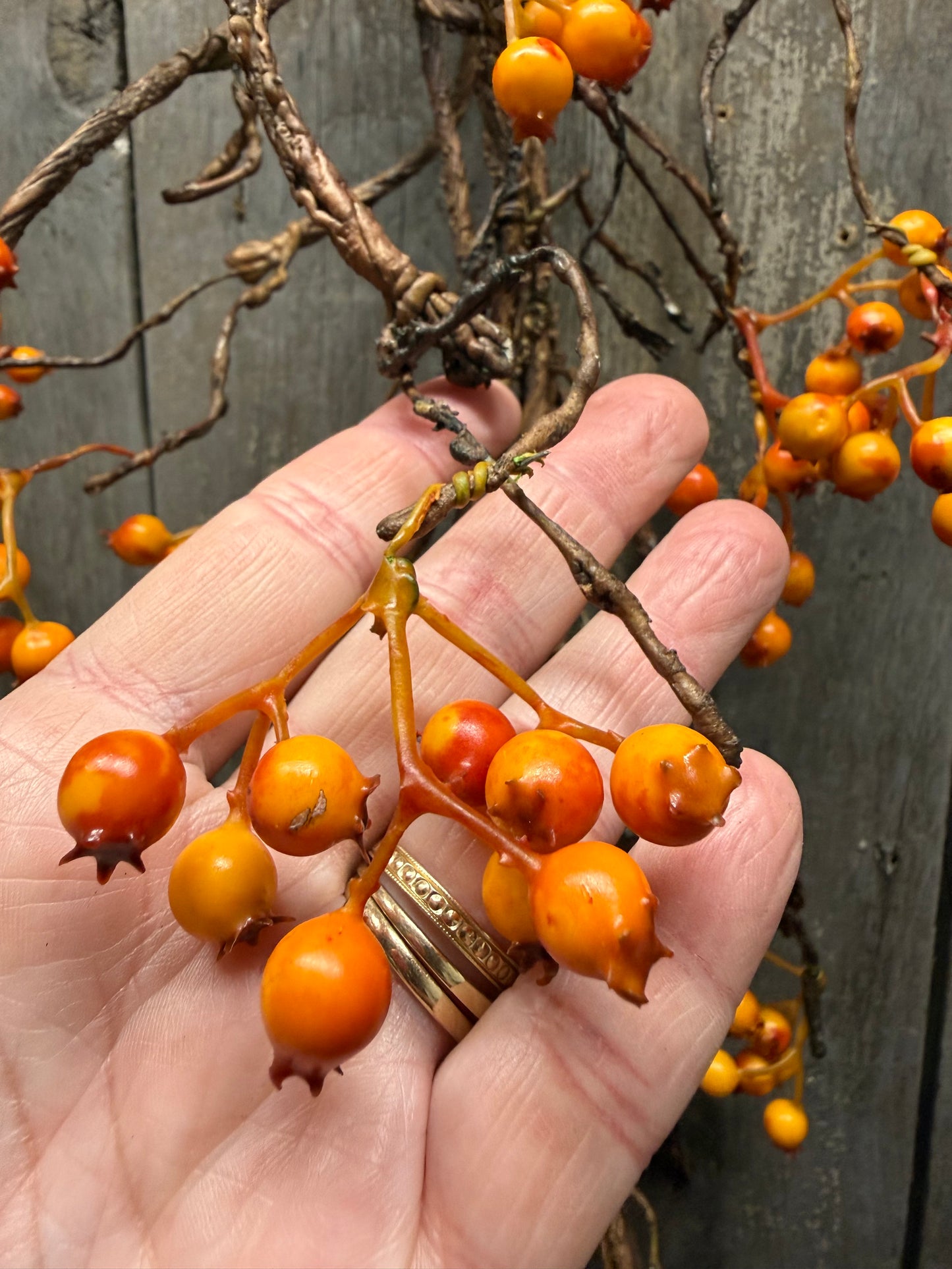Vine, 54", BITTERSWEET