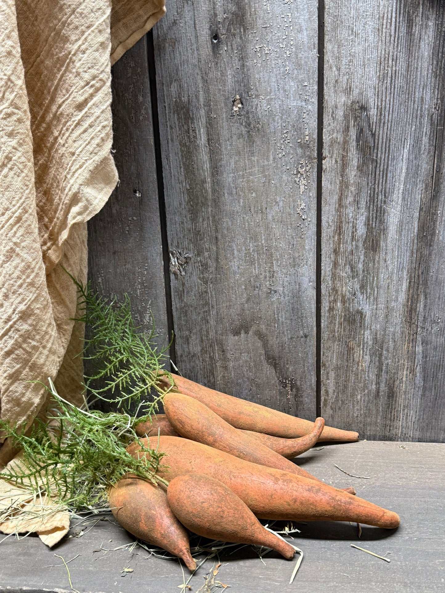 Carrot, Painted Gourd, FRESH DUG & DIRTY