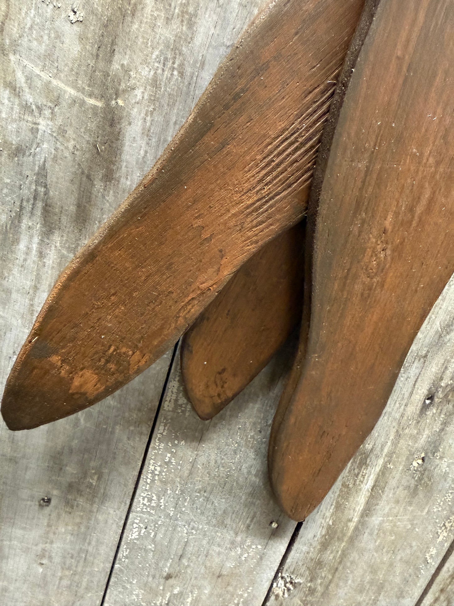 CARROTS, 26", Grungy