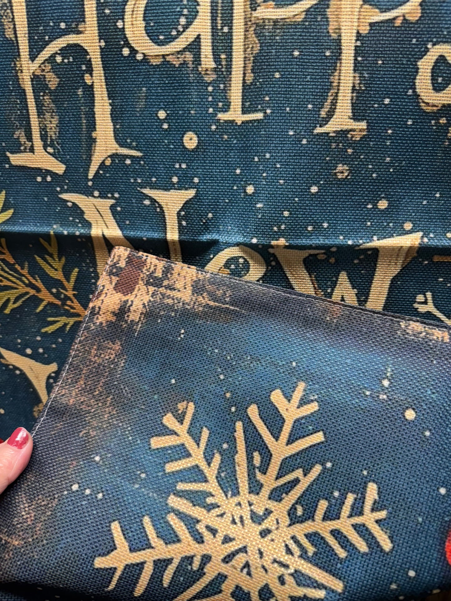 House Flag, 28x40, ASSORTED DESIGNS