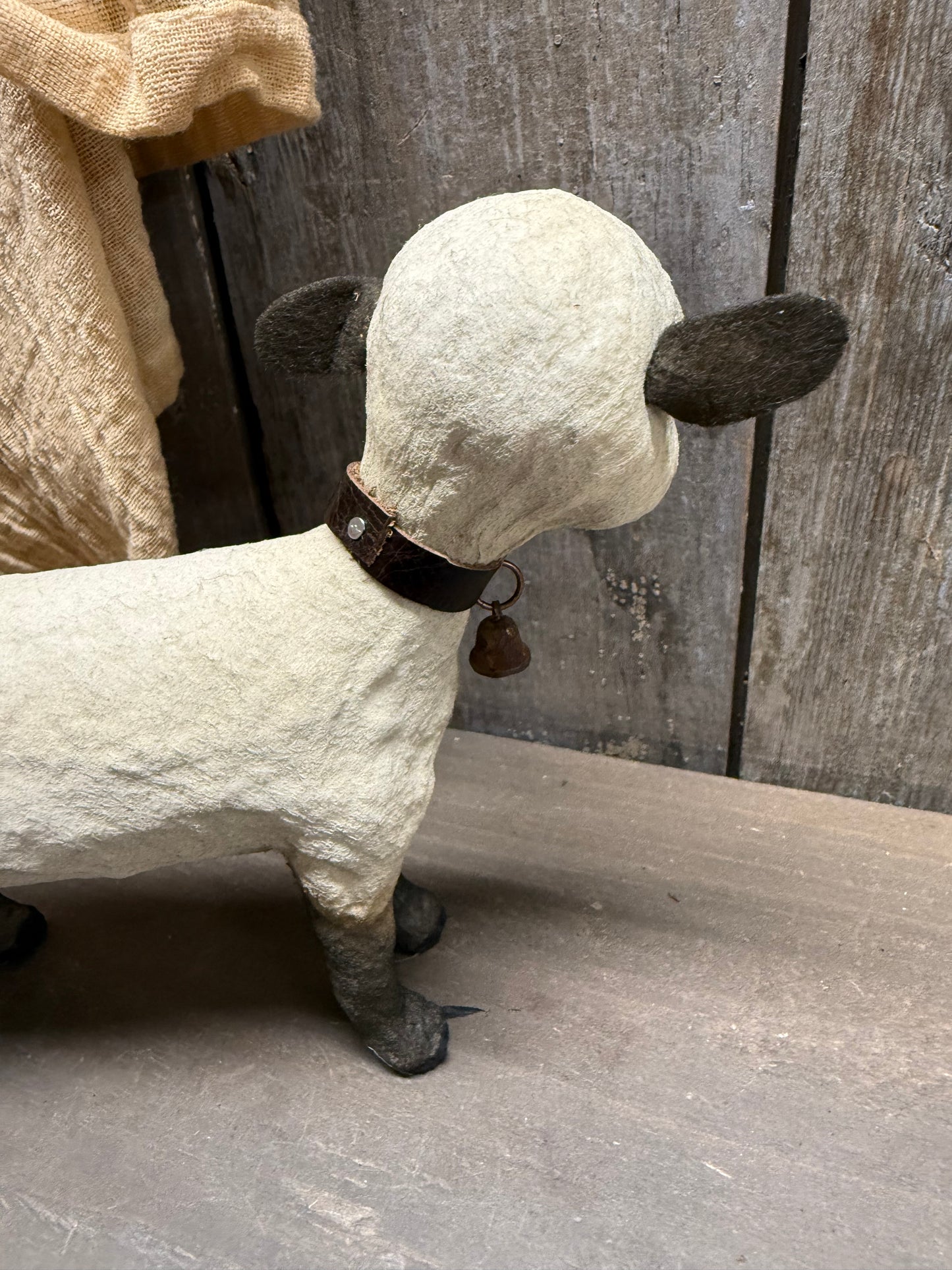 LAMB